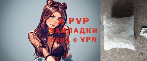 сатива Сатка