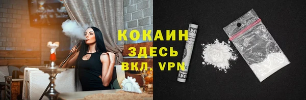 сатива Сатка