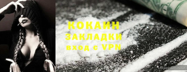 сатива Сатка