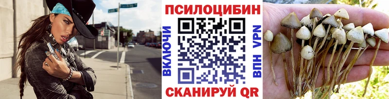 blacksprut как войти  Урень  Галлюциногенные грибы GOLDEN TEACHER  наркотики 